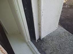 fkillineybeforeinternal 1420.jpg